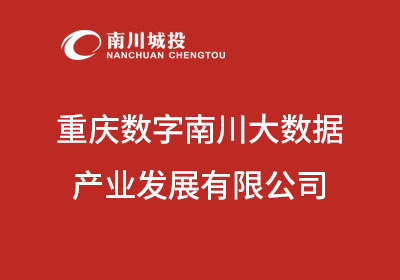 重庆数字南川大数据产业发展有限公司